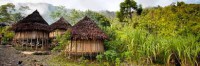 /album/photos/congo-jpg/